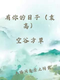 有你的日子（袁高）