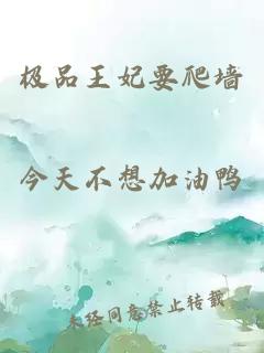 极品王妃要爬墙