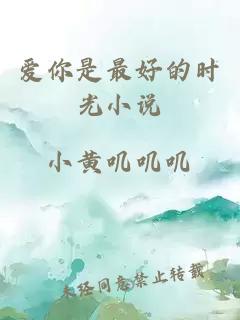 爱你是最好的时光小说